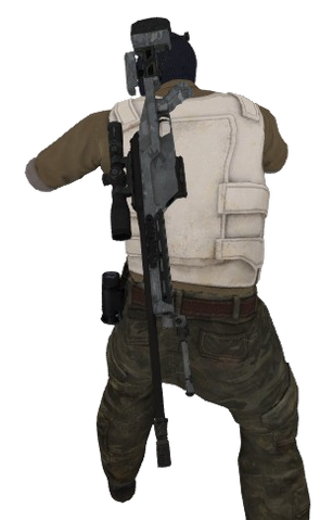 File:P ssg08 t back.png