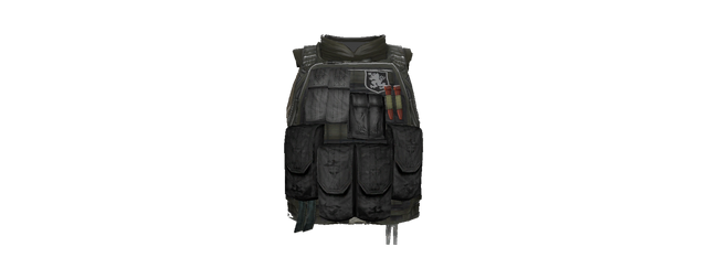 File:Ctm st6 vest mdl.png