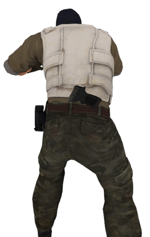 File:P p250 t back.png