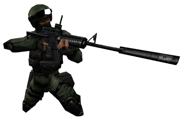 File:Seal m4a1 show ds.png