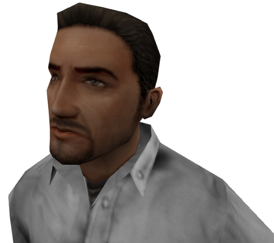 File:Npc head4 ds.png