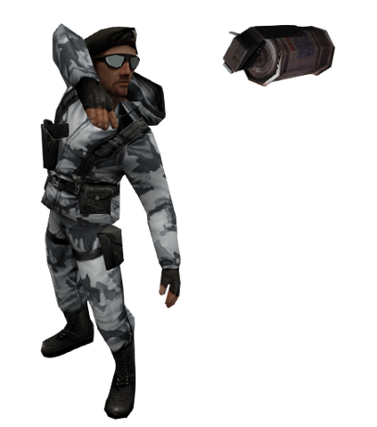 File:Arctic flashbang show ds.png