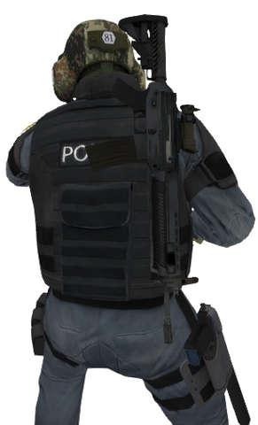 File:P sg556 ct back.png