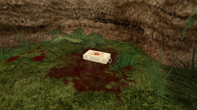 File:Cz downed2 medkit (1).jpg