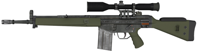 File:W g3sg1 stat csgo.png
