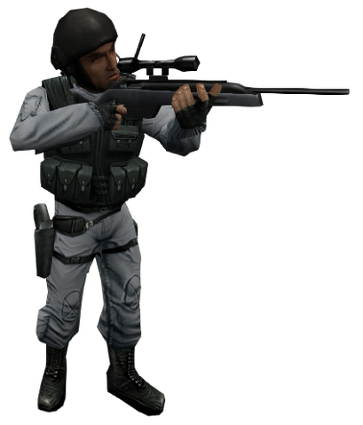 File:Sas scout show ds.png