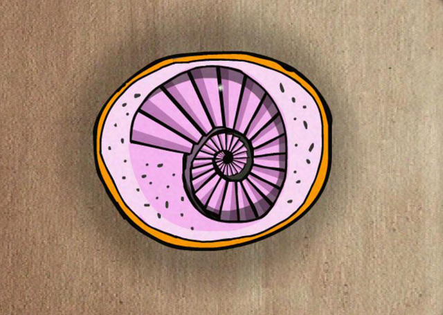 File:Shellstaircase.png