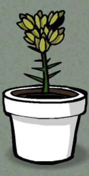 Flower2