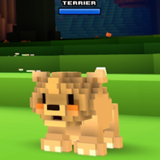 Terrier.png