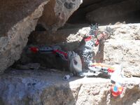 Tfp2-6
