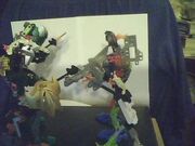 Picture 009