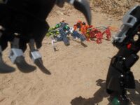 Tfp3-7
