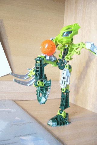 Plik:P1030207.gif