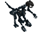 Bones
