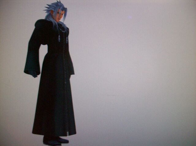 File:With Organization XIII 022.jpg