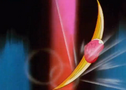 Honeyboomerang