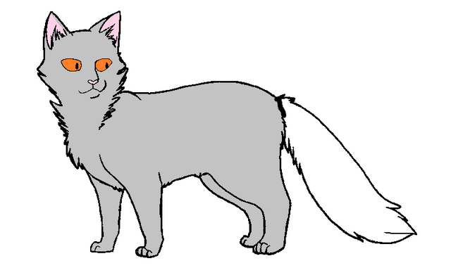 Файл:Манекен длинношёрстного кота .png