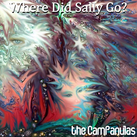File:Cover sally.png