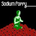 Thumbnail for version as of 11:25, September 13, 2010