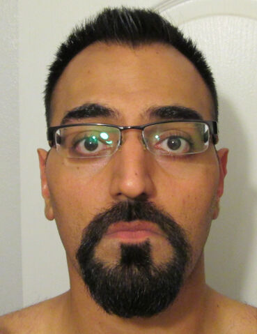 File:Ham beard5.jpg