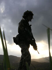 POSDF peacekeeper