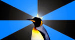 NPOPenguinflag