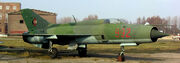 MiG 21 Luft