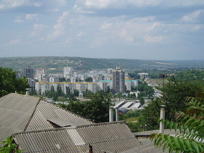 Вид Рыбницы