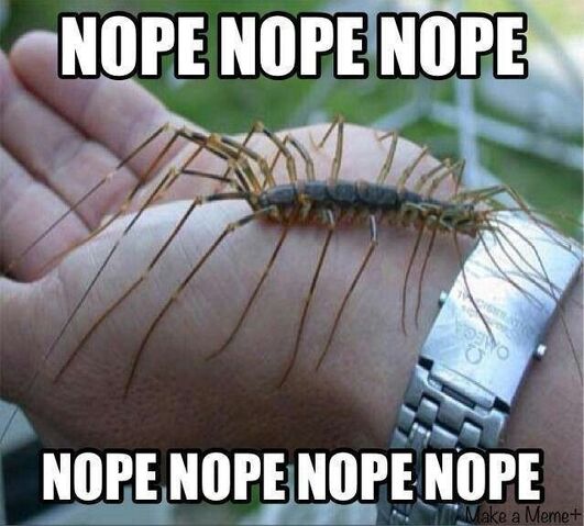 File:Nopenopenope.jpg