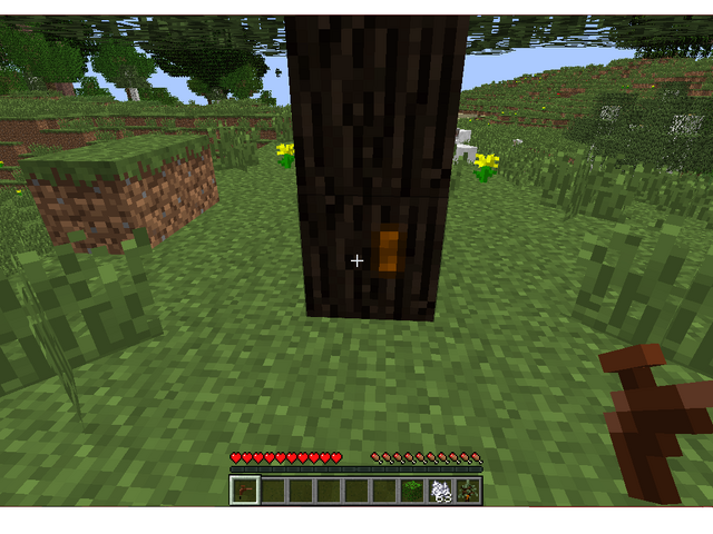 File:Sticky resin on tree.png