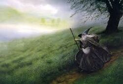 Gandalf kraj.jpeg