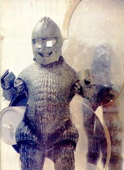 Ice warrior
