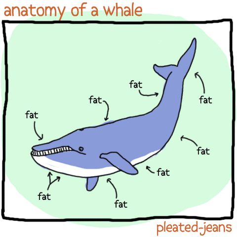 File:Tumblr m45h1eLgGQ1qdp4fuo1 500.png