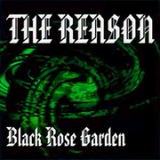 THE REASON (DDR2013)