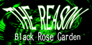 THE REASON