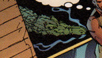Alligator