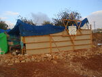Hazon david.jpg