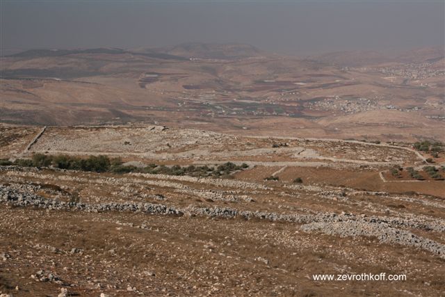הסנדל בהר עיבל.jpg
