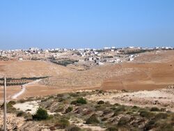 El carmel.jpg