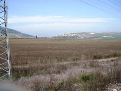 Tel kashish.jpg