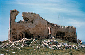 Skeikh Shala