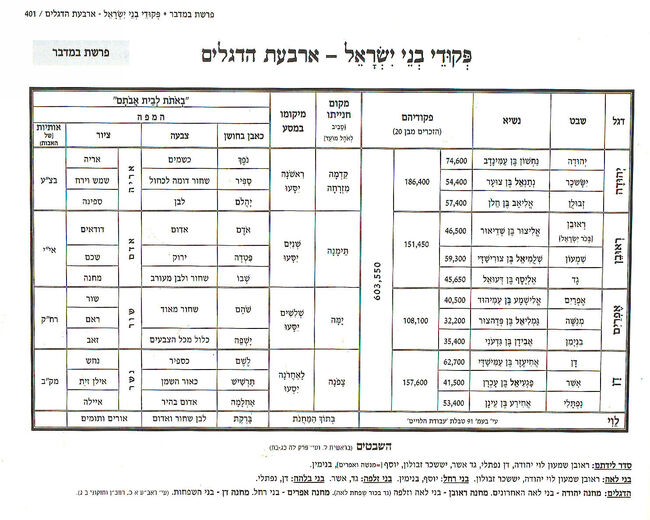 פקודי בני ישראל לפרשת במדבר - מספרו של הרב יאיר הס מישיבת קדומים.jpg