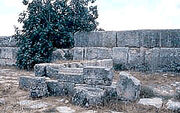 Alonei-mamre.jpg