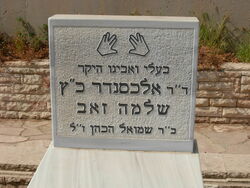 Cohen grave.jpg