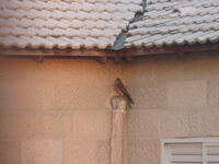 IMG 5071.jpg