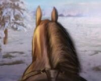 Horsebutt