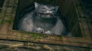 Gata Alvina.jpg