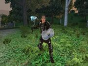 Hibernia-Warden2