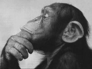 Thinker