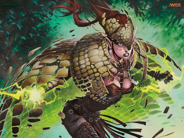 File:ArmadilloCloak 1280x960.jpg
